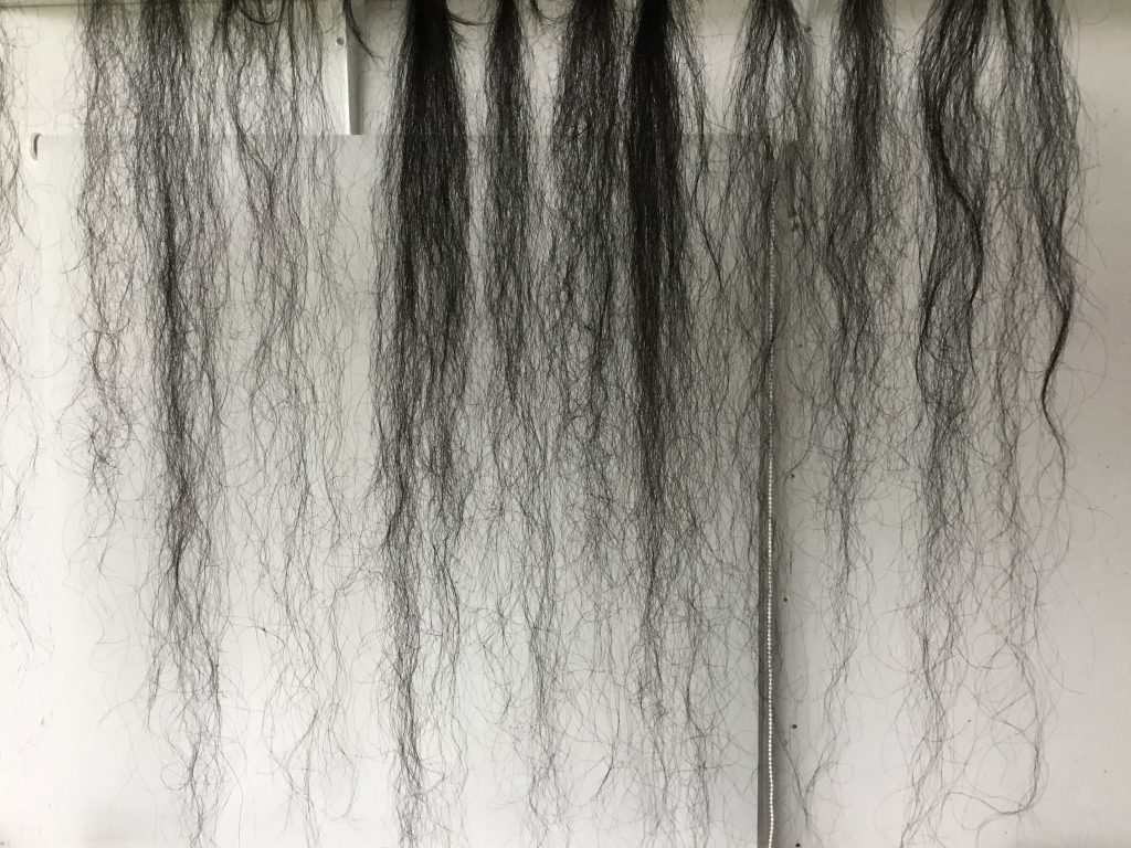 Haren-in-de-wind-muur-van-paardenhaar, Under de toer, LF2018, kunstenaar Wietske Lycklama à Nijeholt
